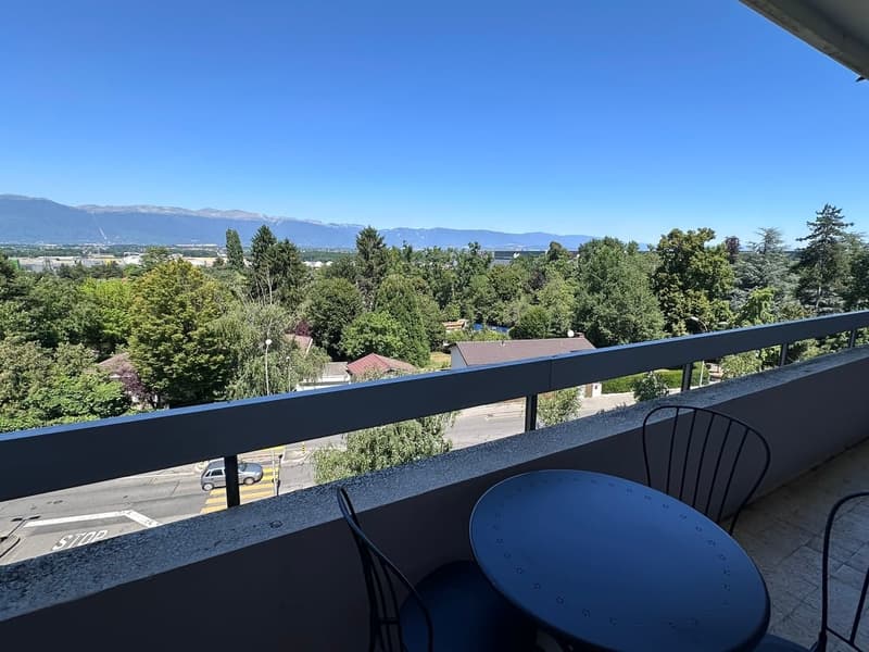 Coliving Convivial et Fonctionnel à Grand-Saconnex (9)