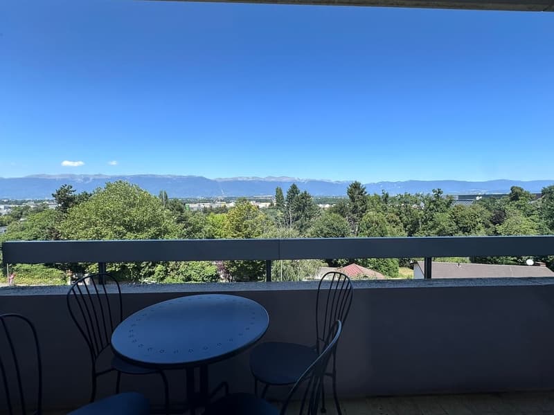 Coliving Convivial et Fonctionnel à Grand-Saconnex (13)