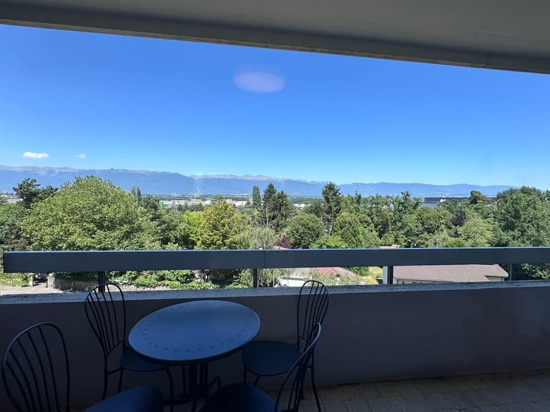 Coliving Convivial et Fonctionnel à Grand-Saconnex (10)