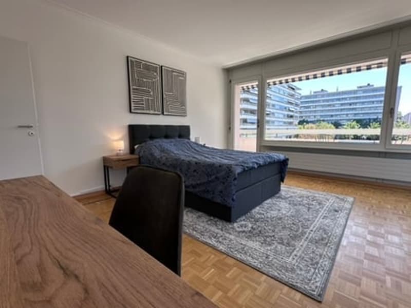 Coliving Convivial et Fonctionnel à Grand-Saconnex (4)