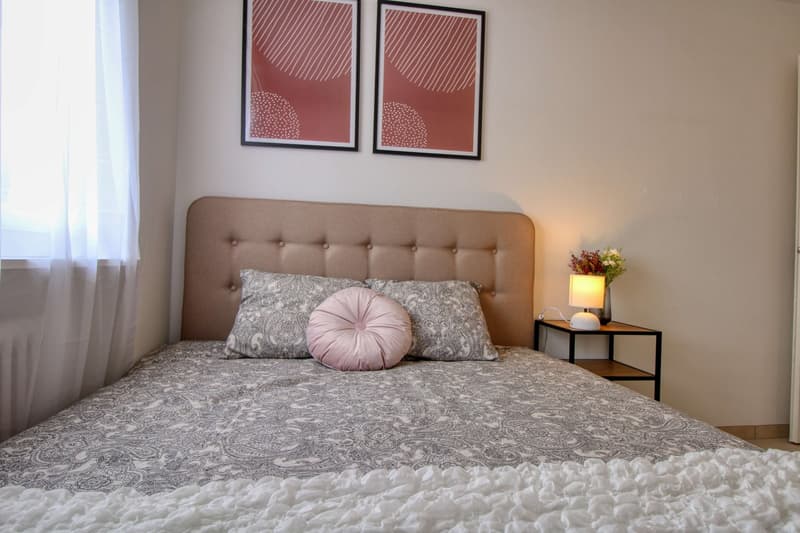 Geräumige Coliving-Wohnung mit großer Terrasse in Wallisellen (3)