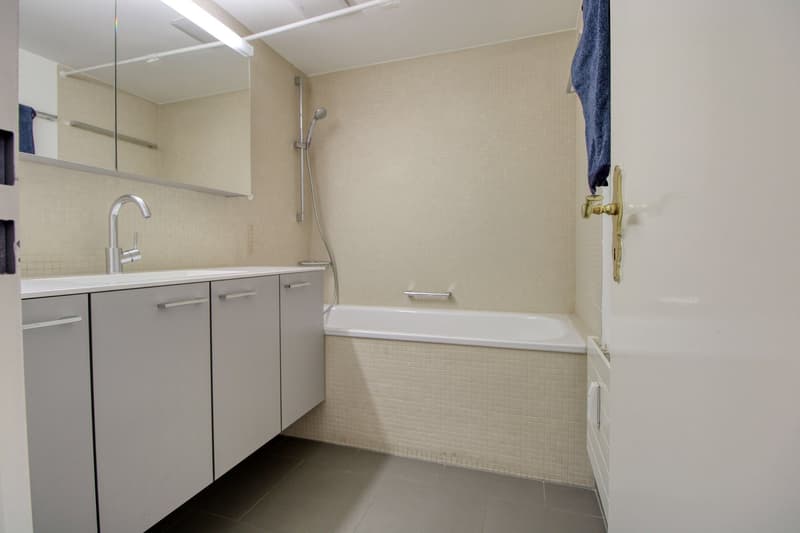 Schöne Zimmer an bester Lage nahe Sihlcity (8)