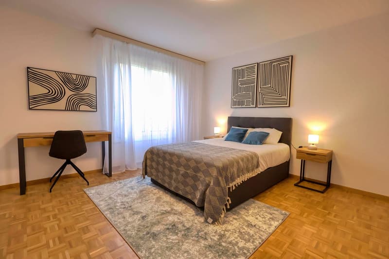 Confort et Communauté en Coliving au Cœur de Genève (7)