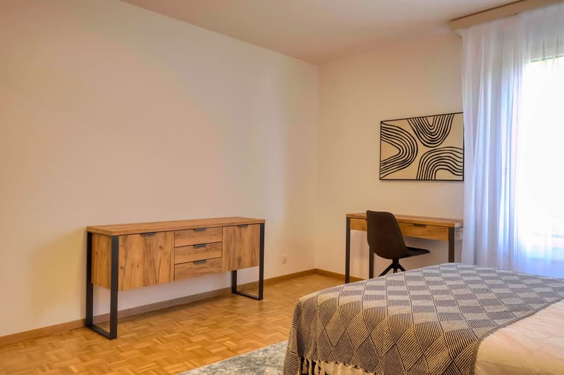 Confort et Communauté en Coliving au Cœur de Genève (9)