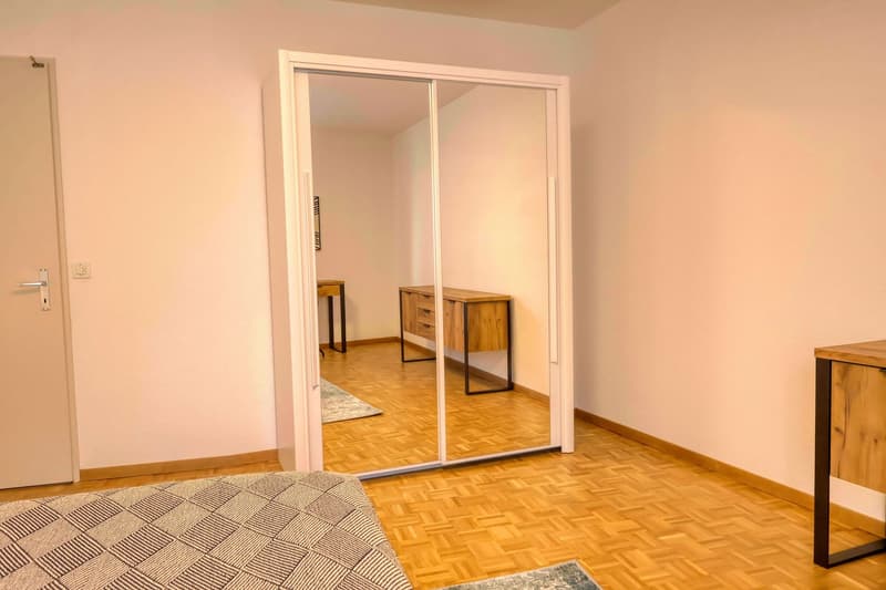 Confort et Communauté en Coliving au Cœur de Genève (4)