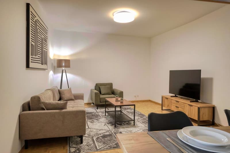Confort et Communauté en Coliving au Cœur de Genève (11)