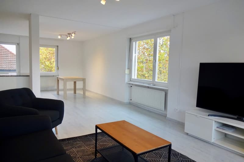 Furnished room in modernised apartment in a top location (3)