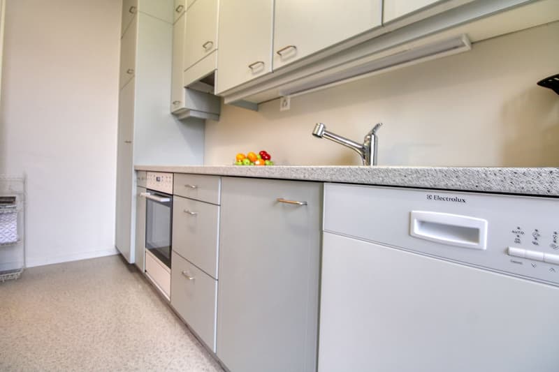 Dein stilvolles Coliving-Zuhause im lebhaften Zürcher Stadtteil Höngg (10)