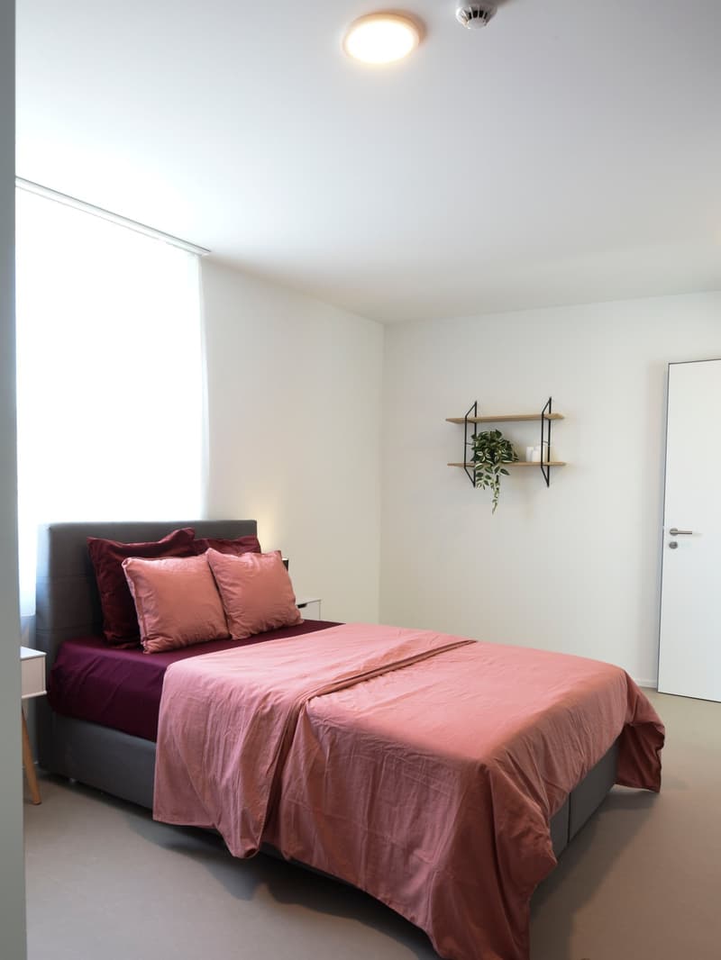 Coliving at Lily : un habitat moderne à proximité de Lausanne, de l'EPFL et de l'UNIL (13)