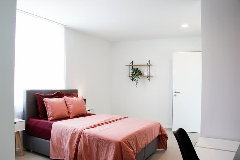Coliving at Lily : un habitat moderne à proximité de Lausanne, de l'EPFL et de l'UNIL (6)