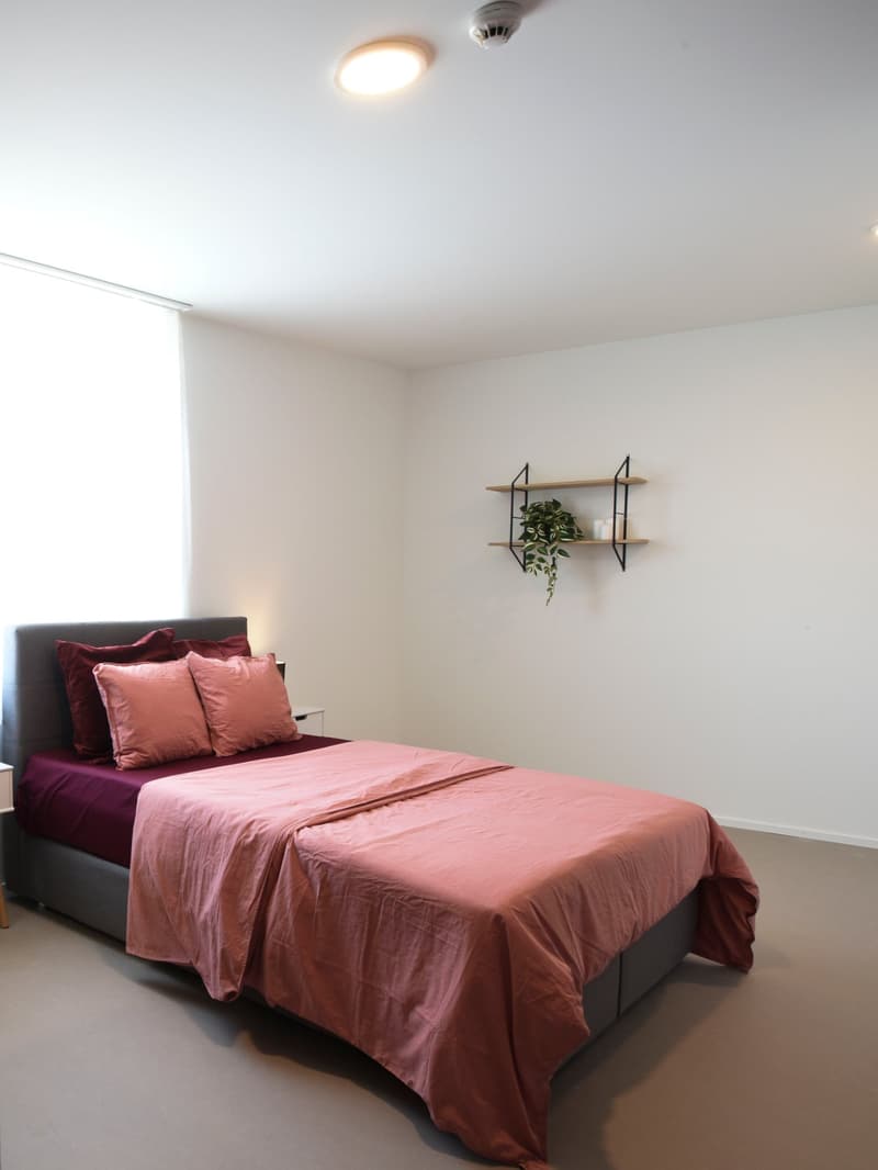 Coliving at Lily : un habitat moderne à proximité de Lausanne, de l'EPFL et de l'UNIL (18)