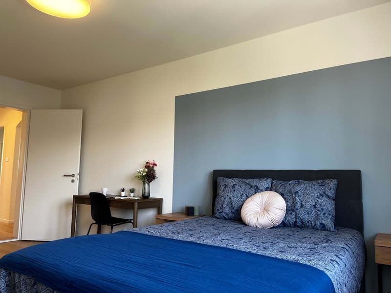 Helle, renovierte Wohnung ideal für junge Berufstätige (1)