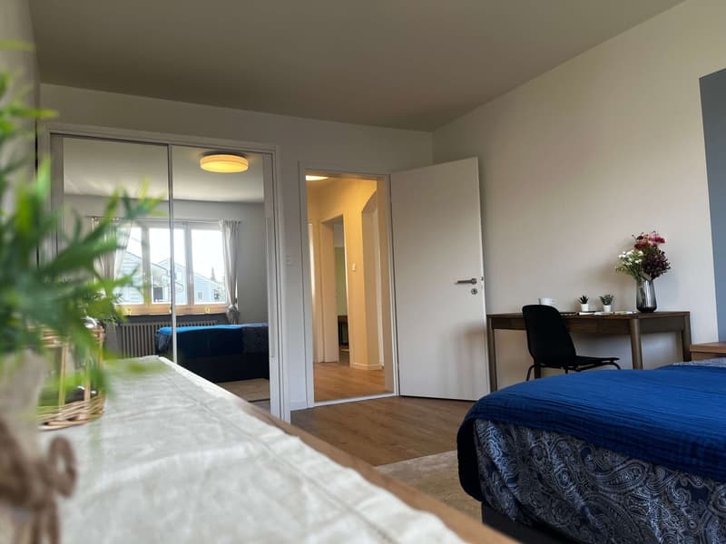 Helle, renovierte Wohnung ideal für junge Berufstätige (6)