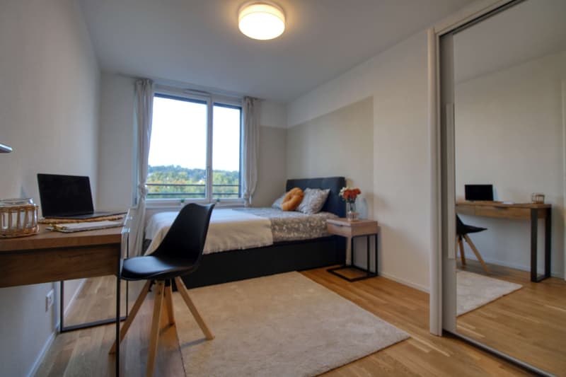 Appartement Coliving Spacieux à Crissier (3)