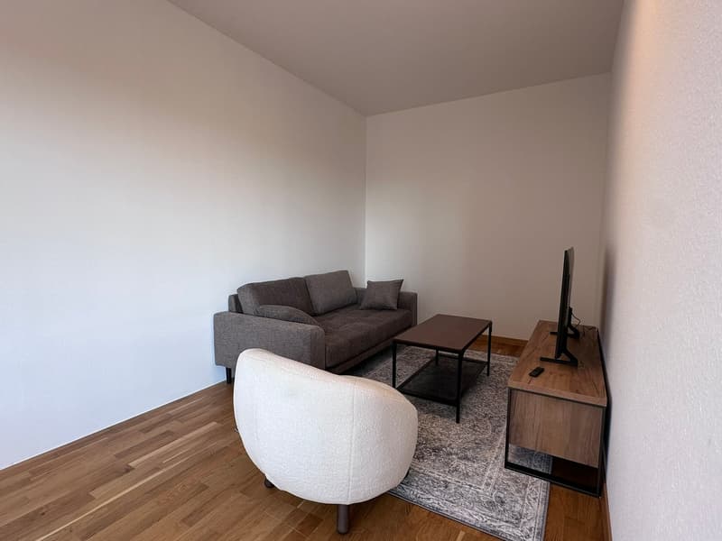 Coliving Spacieux entre Ville et Nature à Thônex (12)