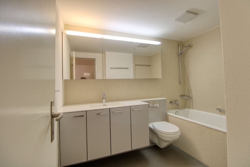 Schöne Zimmer an bester Lage nahe Sihlcity (8)