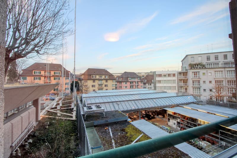 Schöne Zimmer an bester Lage nahe Sihlcity (6)
