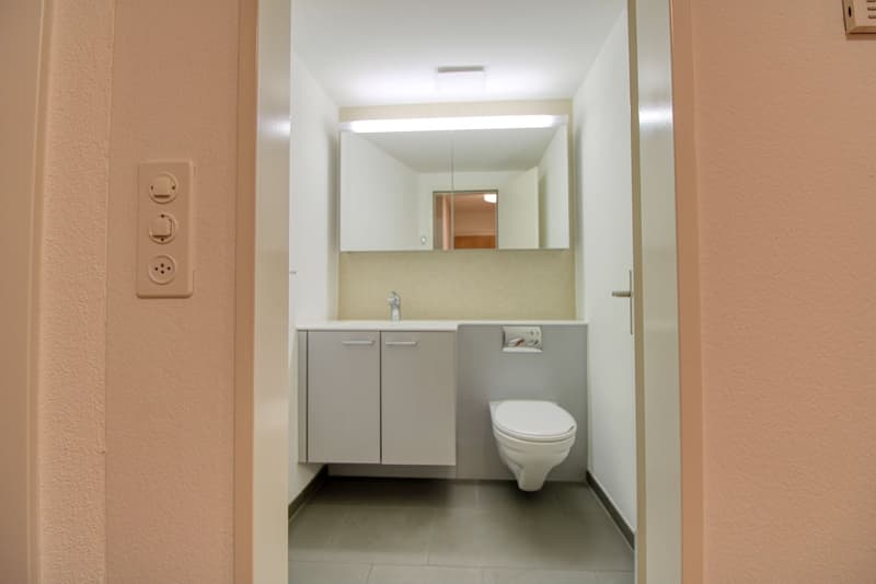 Schöne Zimmer an bester Lage nahe Sihlcity (11)