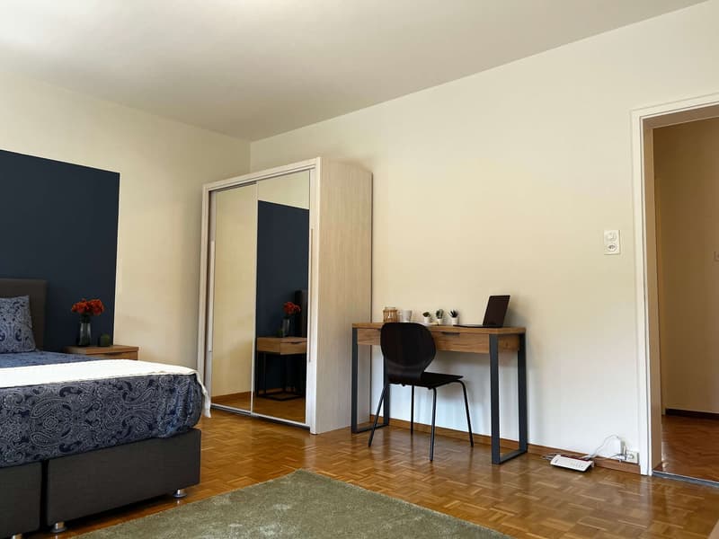 Entdecke komfortables Wohnen in Basel (9)