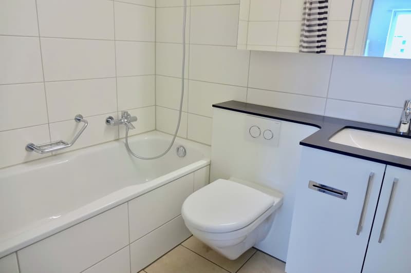 Möbliertes Zimmer in zentraler WG in Basel (2)