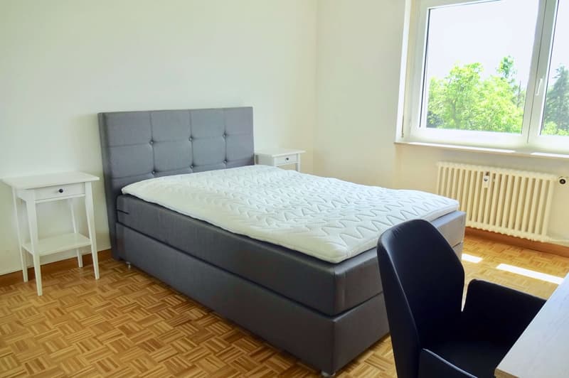 Möbliertes Zimmer in zentraler WG in Basel (7)