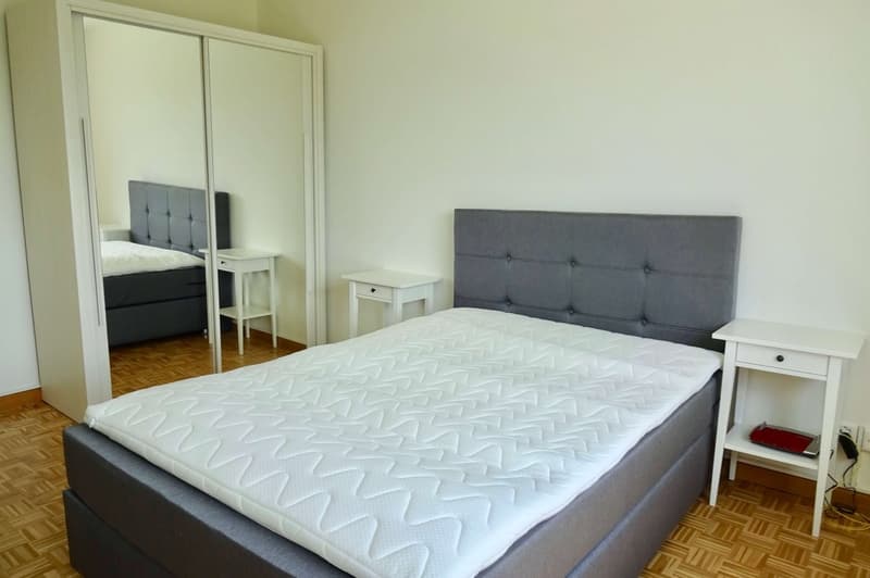 Möbliertes Zimmer in zentraler WG in Basel (3)