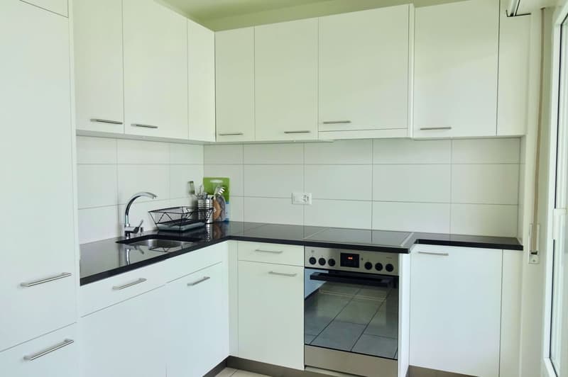 Möbliertes Zimmer in zentraler WG in Basel (8)