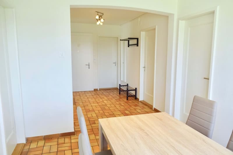 Möbliertes Zimmer in zentraler WG in Basel (4)