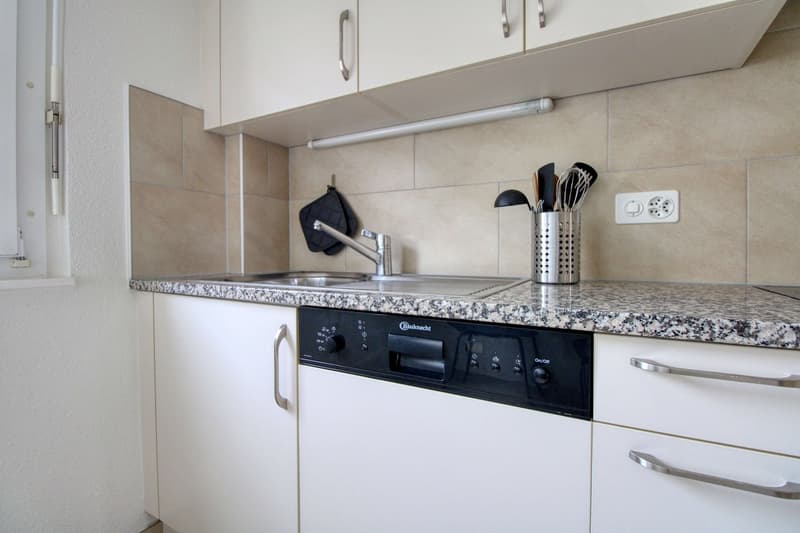 Un Appartement Coliving Moderne à l'Avenue de France à Lausanne (12)