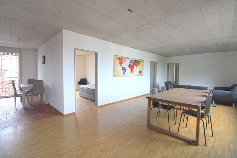 Möbliertes Zimmer in grosser 4er WG in Zürich-Dübendorf (7)