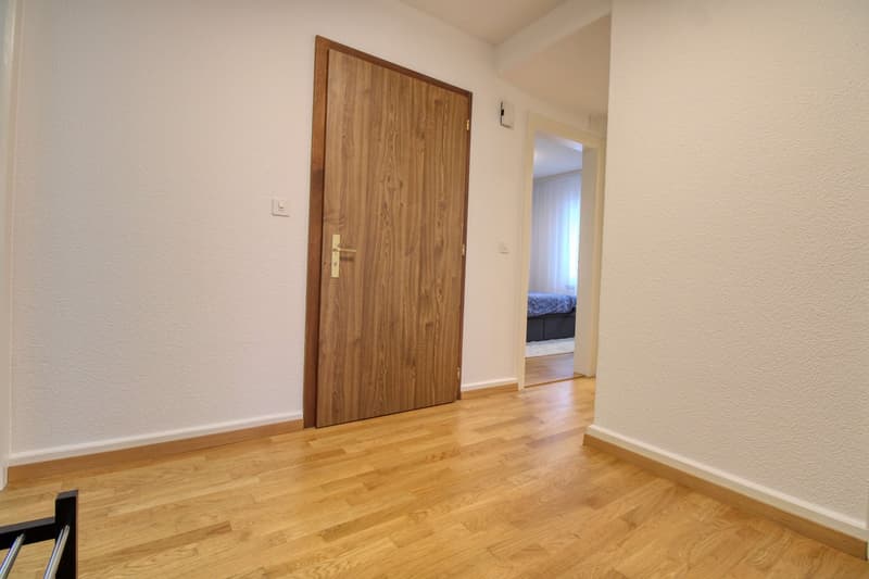 Dein stilvolles Coliving-Zuhause im lebhaften Zürcher Stadtteil Höngg (13)