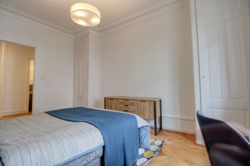 Magnifique appartement meublé en colocation, hypercentre de Genève (12)