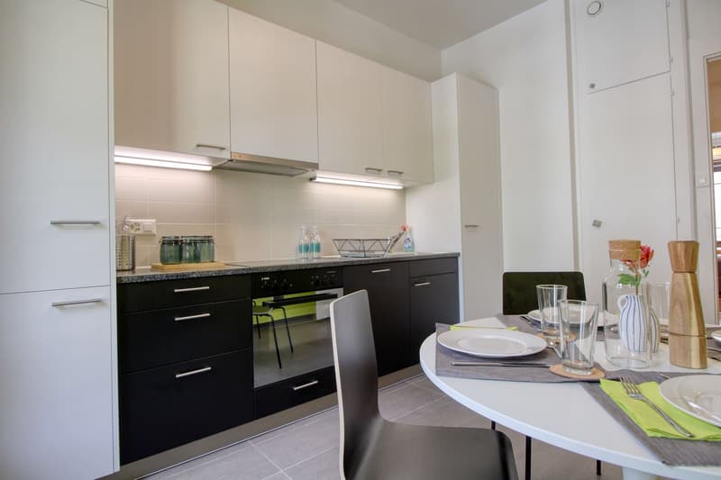 Magnifique appartement meublé en colocation, hypercentre de Genève (14)