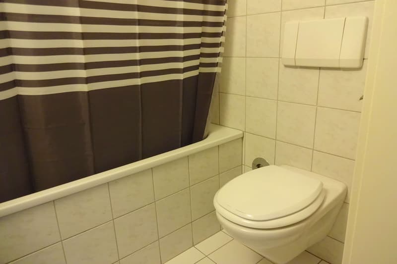 Möbliertes Zimmer an ruhiger Lage (9)