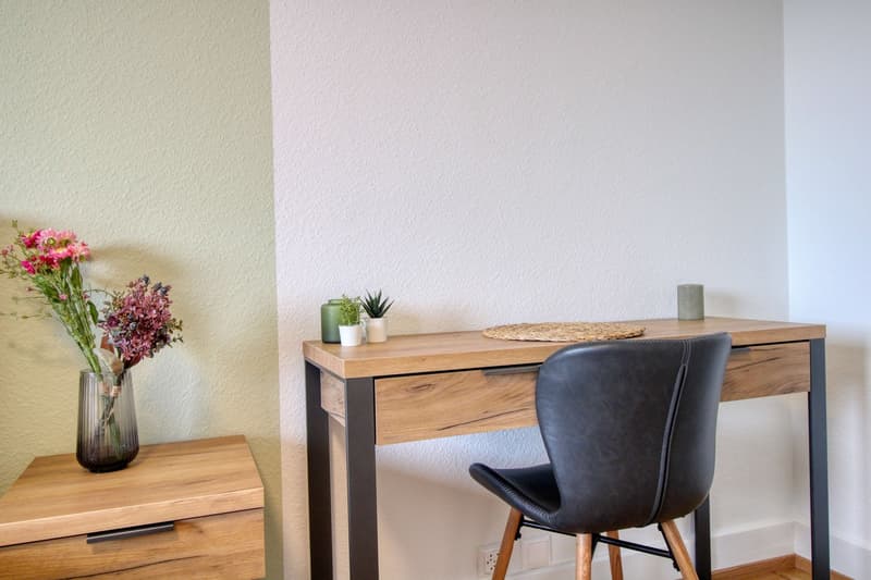 Lakeside Coliving Haven à l’Avenue de France à Lausanne (8)