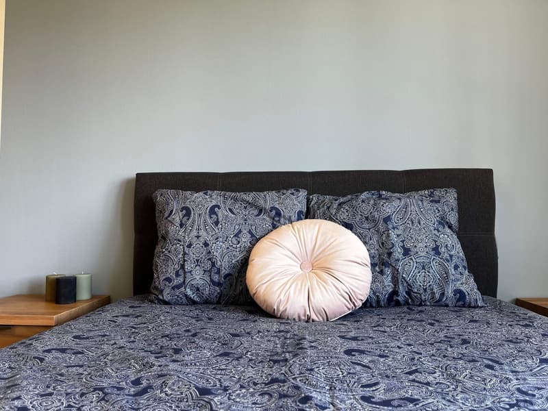 Helle, renovierte Wohnung ideal für junge Berufstätige (4)