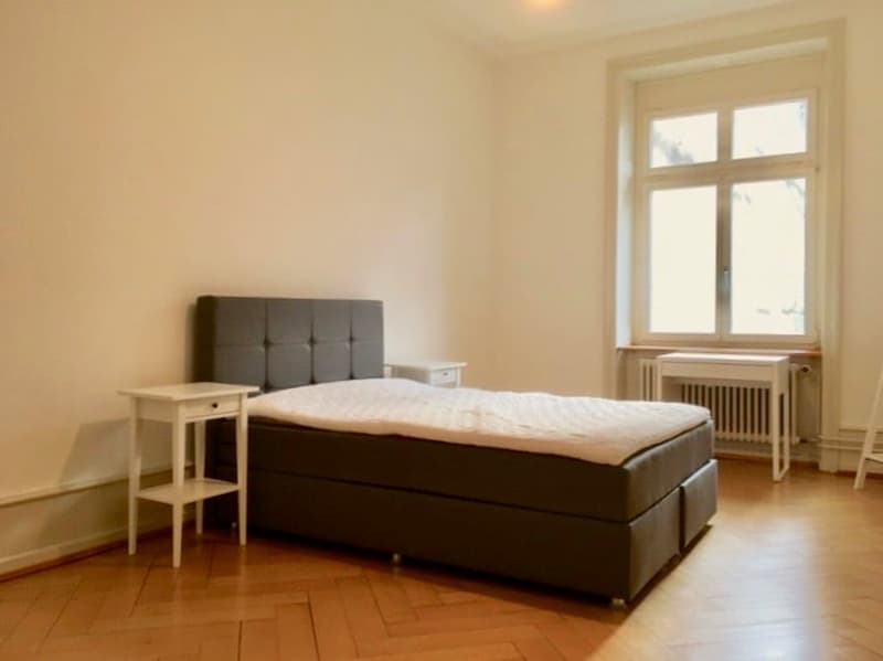 Möbliertes WG-Zimmer neben der Markthalle und dem Bahnhof Basel SBB (1)