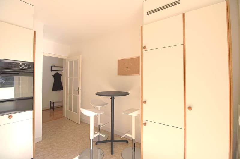 Furnished Single Room with Balcony in a Flatshare – Basel 4055 (7)