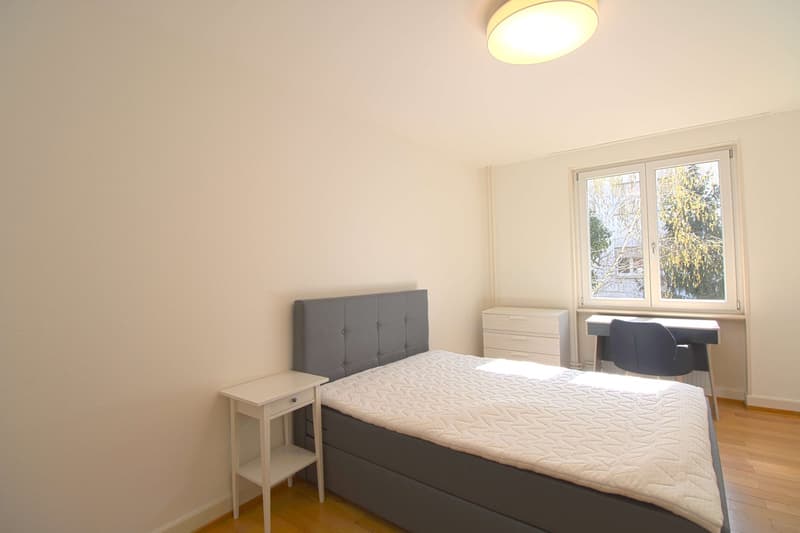 Furnished Single Room with Balcony in a Flatshare – Basel 4055 (1)