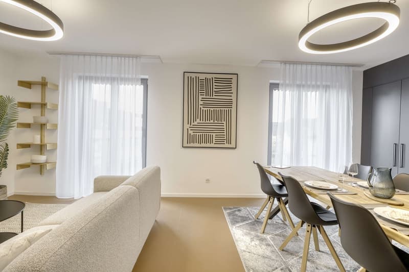 Coliving Alliant Intimité et Vie Partagée au Cœur de Renens (19)