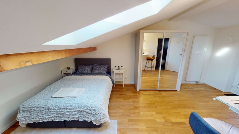 Cozy Studio Apartment on the 4th Floor in Schaffhausen (3)
