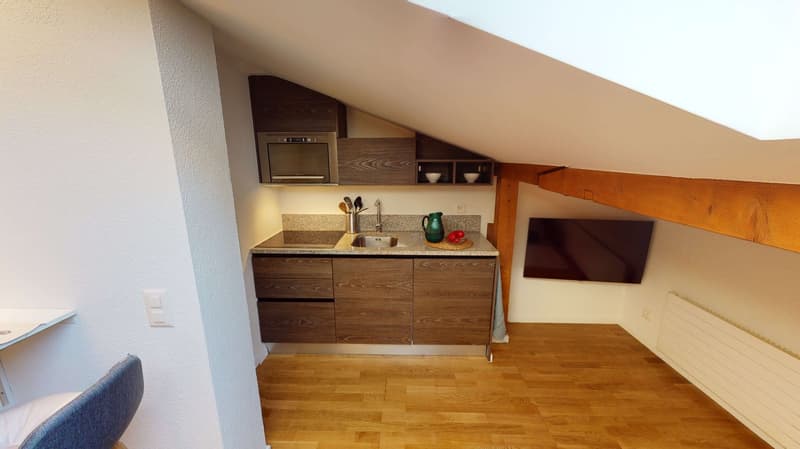 Cozy Studio Apartment on the 4th Floor in Schaffhausen (4)