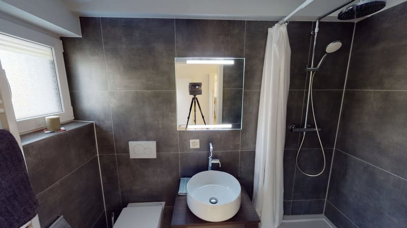 Cozy Studio Apartment on the 4th Floor in Schaffhausen (5)