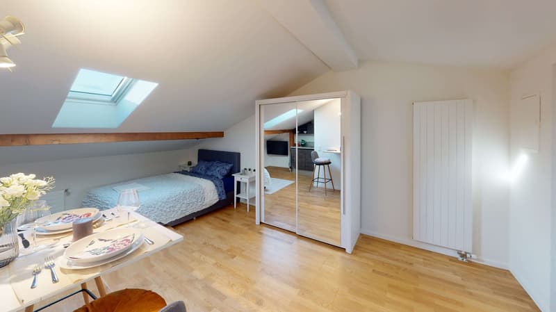 Cozy Studio Apartment on the 4th Floor in Schaffhausen (6)