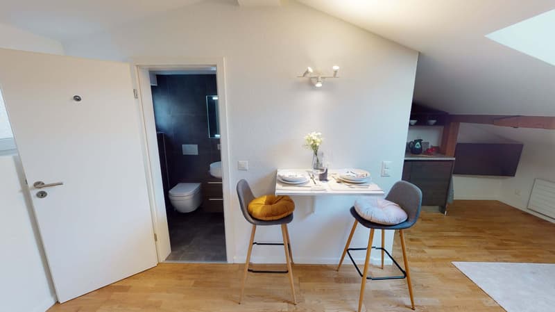 Cozy Studio Apartment on the 4th Floor in Schaffhausen (2)