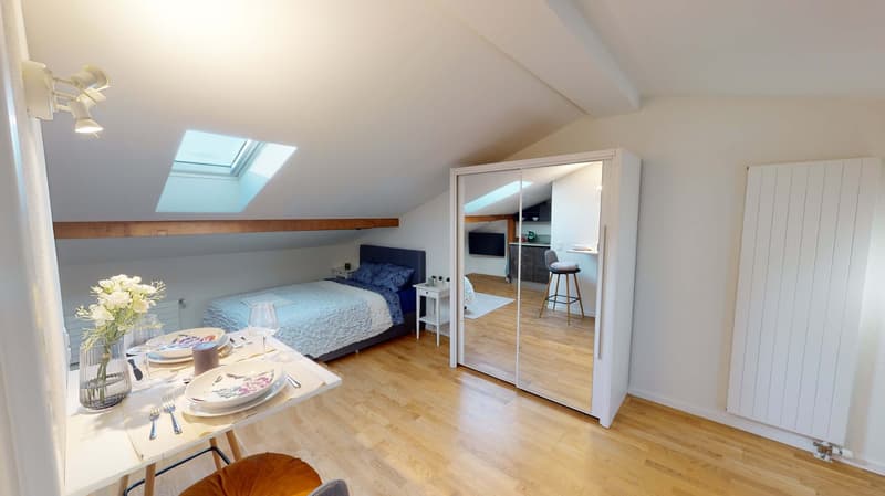 Cozy Studio Apartment on the 4th Floor in Schaffhausen (1)