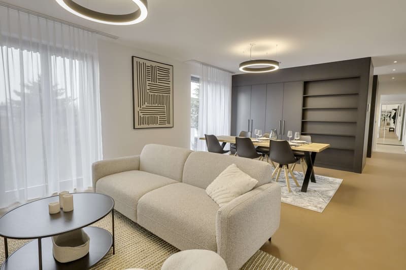 Coliving Alliant Intimité et Vie Partagée au Cœur de Renens (37)