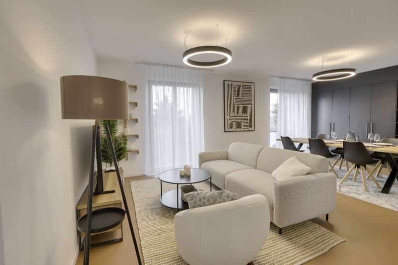 Coliving Alliant Intimité et Vie Partagée au Cœur de Renens (34)