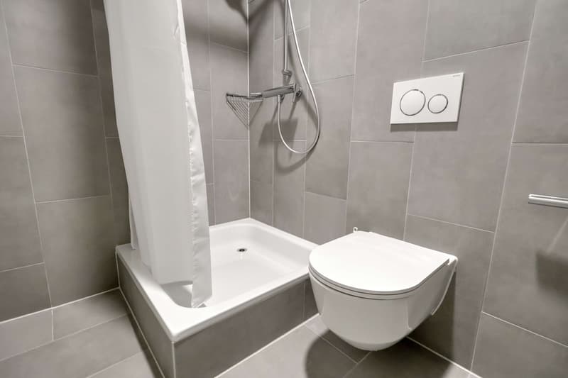 Coliving Alliant Intimité et Vie Partagée au Cœur de Renens (10)