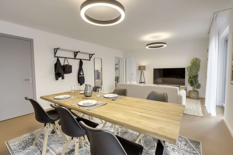Coliving Alliant Intimité et Vie Partagée au Cœur de Renens (30)